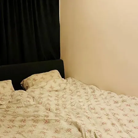 For Rent During Ons 公寓 斯塔万格